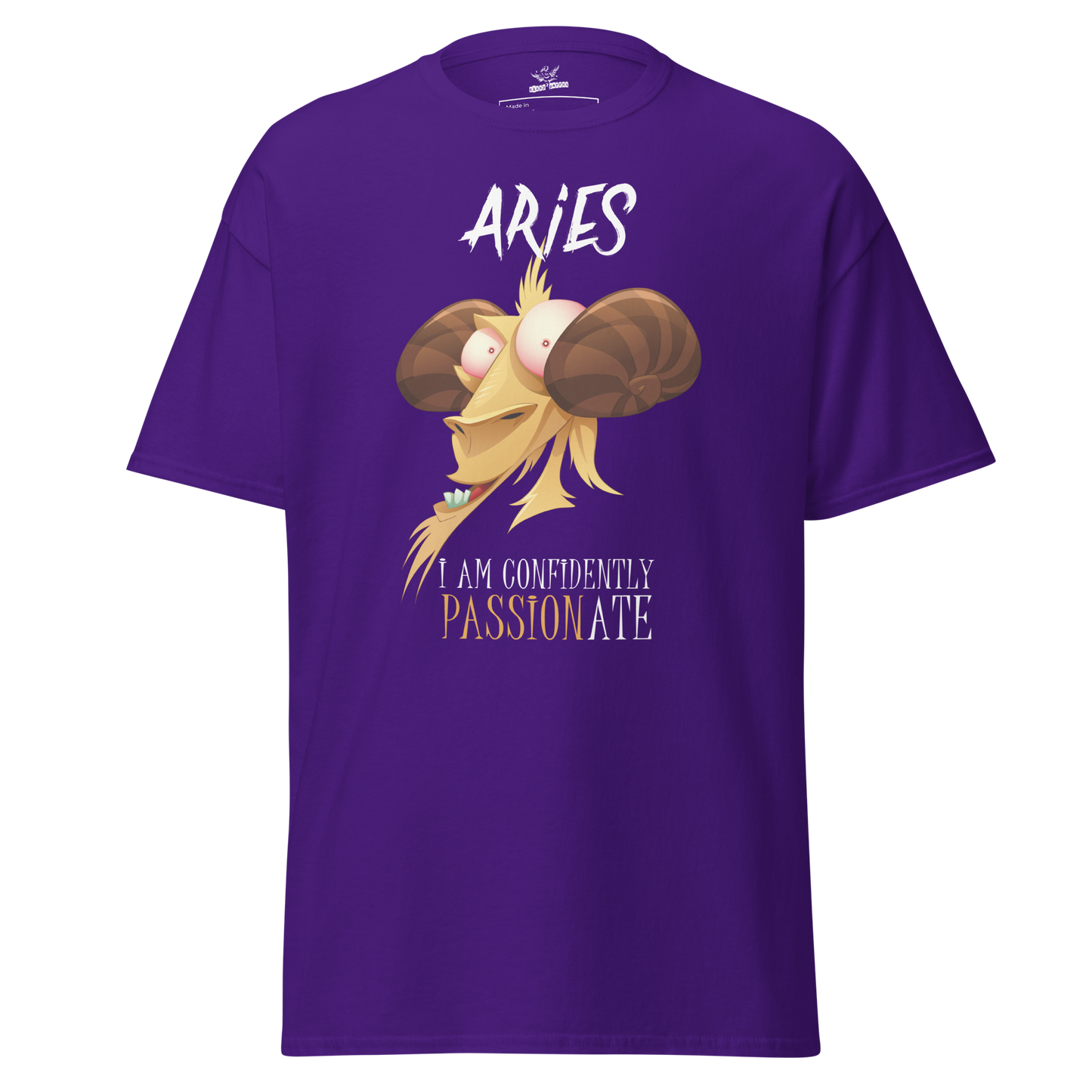 Aries T-Shirt